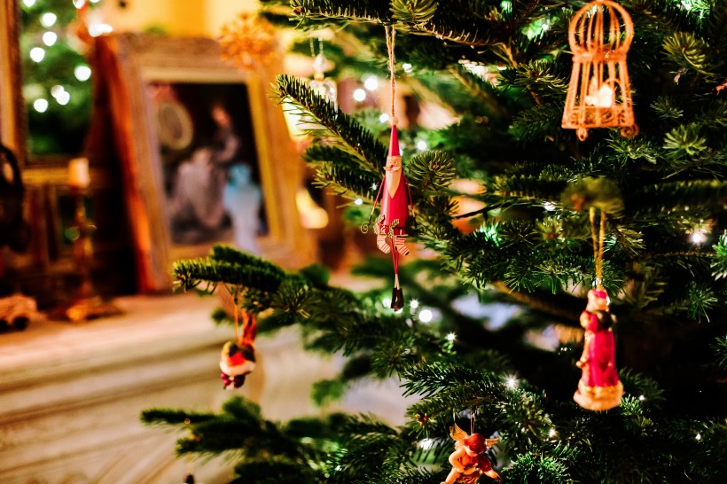 点击大图看下一张：装饰美丽的圣诞树图片