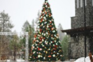 装饰美丽的圣诞树图片_11张