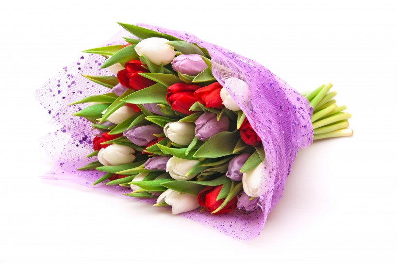 点击大图看下一张：漂亮的郁金香鲜花花束图片