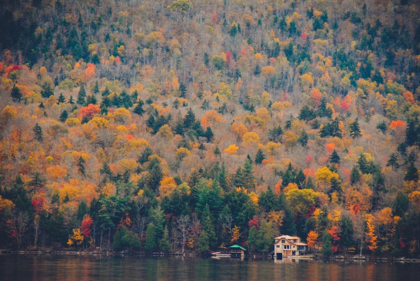 点击大图看下一张：秋天树林风景图片