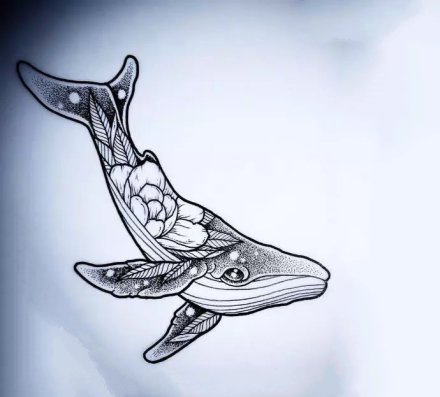 点击大图看下一张：一组8张鲸鱼纹身作品欣赏