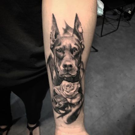点击大图看下一张：一组杜宾犬狗狗的纹身图案