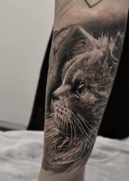 点击大图看下一张：关于猫咪的九张纹身作品图片