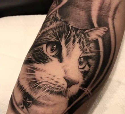 点击大图看下一张：关于猫咪的九张纹身作品图片