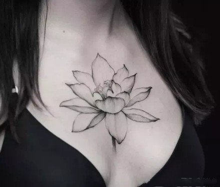 点击大图看下一张：莲花主题的一组好看荷花纹身作品