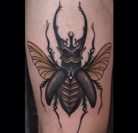 点击大图看下一张：一组昆虫甲虫的纹身图案欣赏