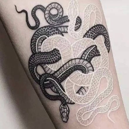 点击大图看下一张：个性的一组蛇纹身图片欣赏