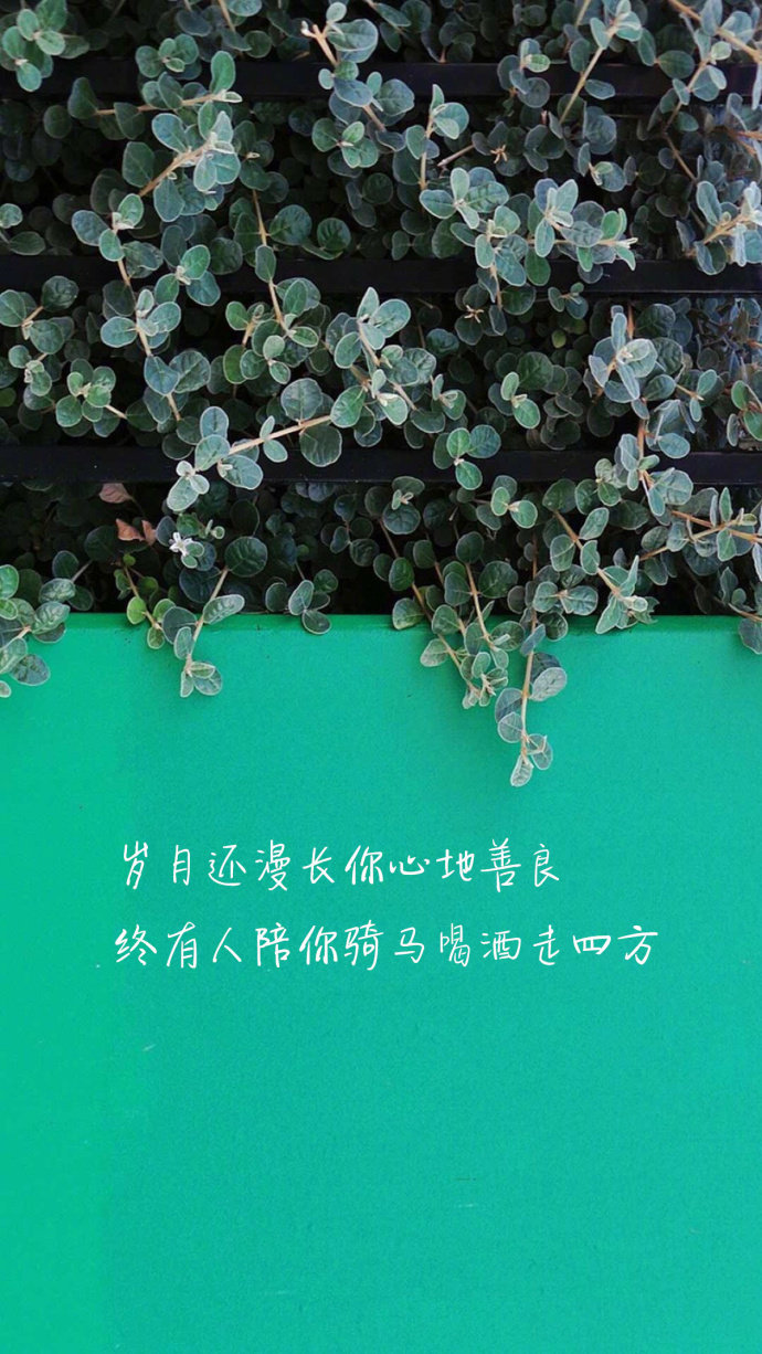 点击大图看下一张：时光静好，与君语；细水流年，与君同；繁华落尽，与君老