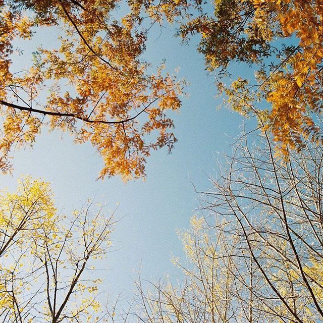 点击大图看下一张：秋天 美丽的季节 收获的季节 金黄的季节
