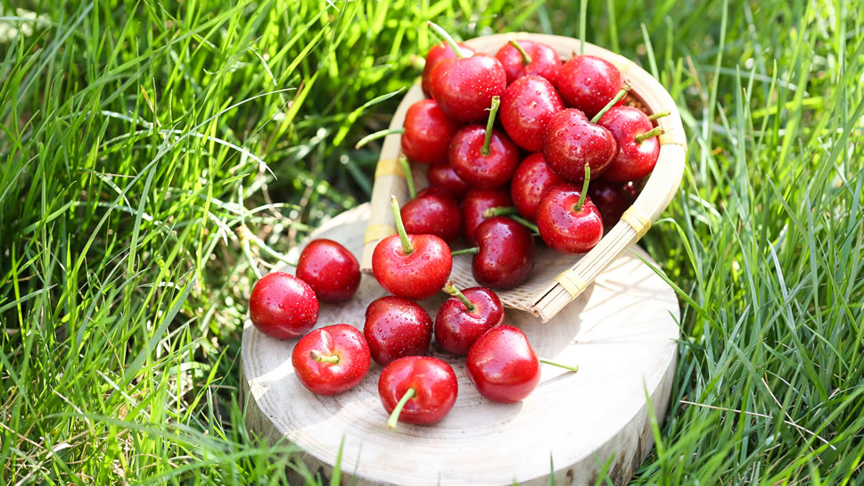 点击大图看下一张：一组红红的营养丰富的樱桃图片欣赏