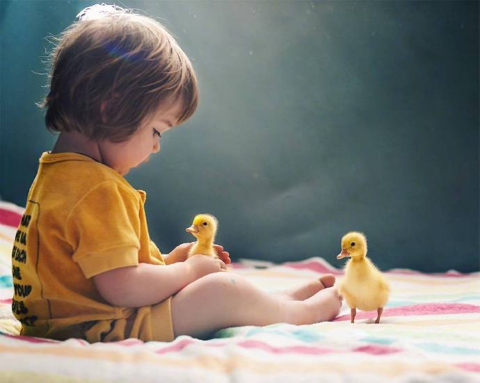 点击大图看下一张：一组小男孩和小黄鸭唯美拍摄图片欣赏