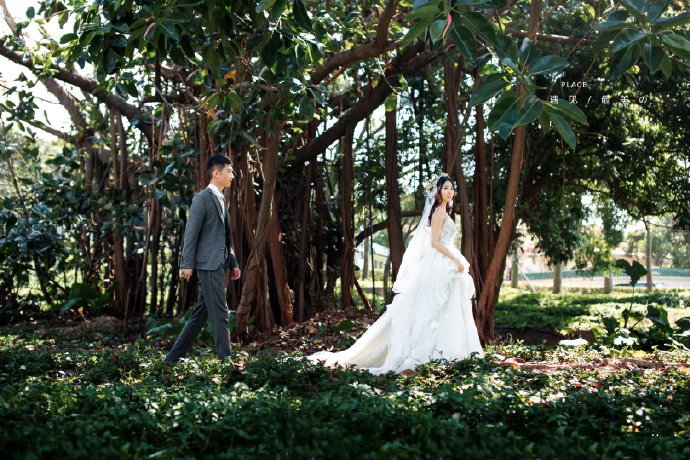 点击大图看下一张：树叶间隙里透出一道道温暖的光束，梦幻森系婚纱照是时代的潮