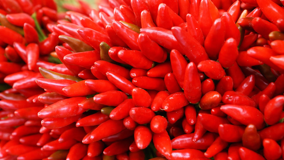 点击大图看下一张：一组红红的辣椒高清写真图片欣赏
