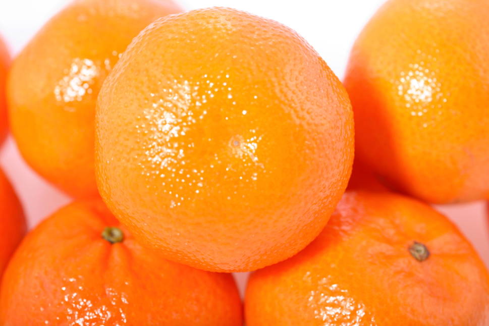 点击大图看下一张：成熟的橘子像小灯笼 也像调皮的乒乓球
