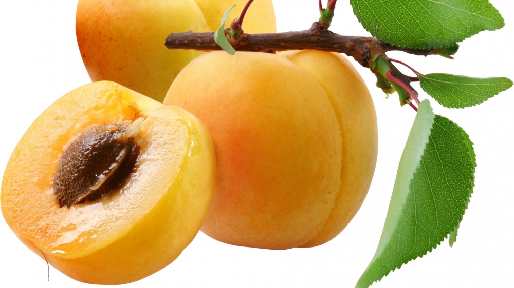 点击大图看下一张：成熟的水蜜桃略呈球形，表面裹着一层短短的绒毛
