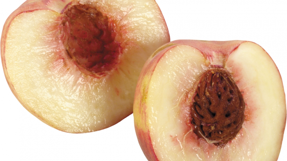 点击大图看下一张：成熟的水蜜桃略呈球形，表面裹着一层短短的绒毛