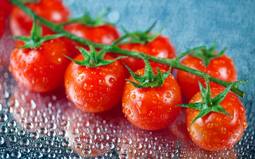 点击大图看下一张：没有成熟的西红柿的味道是酸溜溜的 成熟的就又甜又香