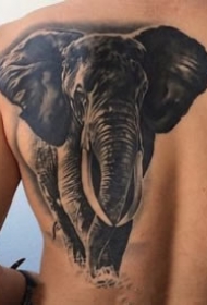 霸气的大象纹身图案9张