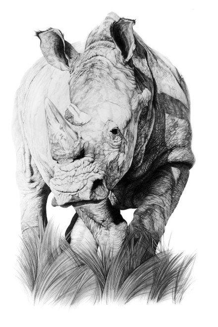 点击大图看下一张：一组寓意强壮的犀牛纹身图案