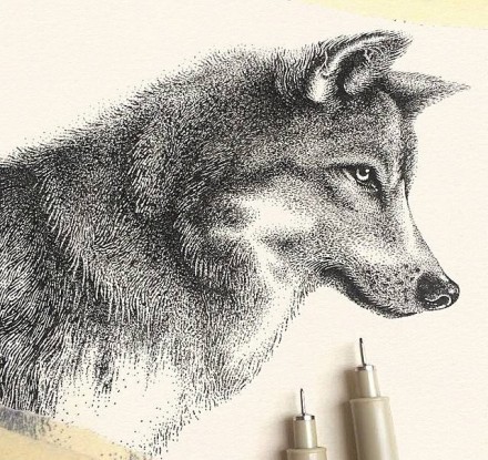 点击大图看下一张：狼头主题的一组狼纹身图案赏析