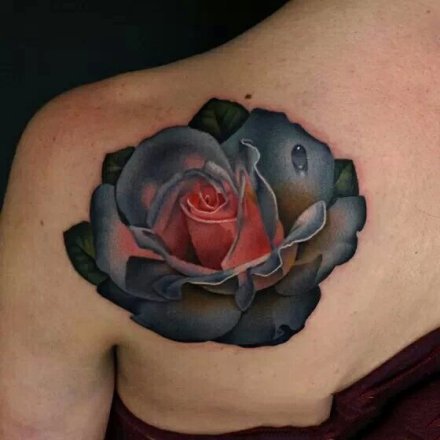 点击大图看下一张：9张写实3D风格的玫瑰花朵纹身图案