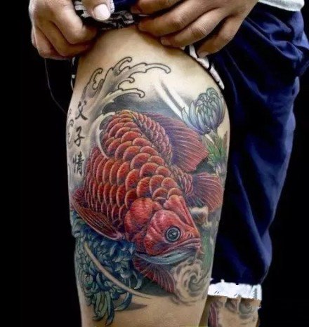 点击大图看下一张：好看的一组传统金龙鱼纹身图案