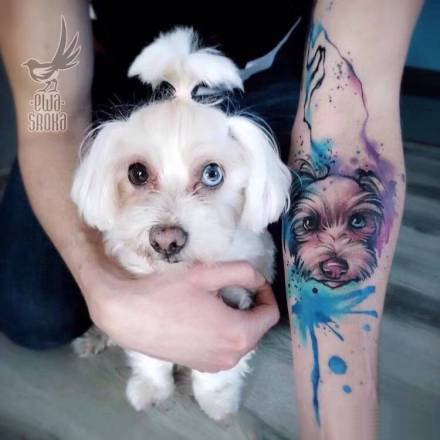 点击大图看下一张：蓝色水彩风格的宠物纹身图案
