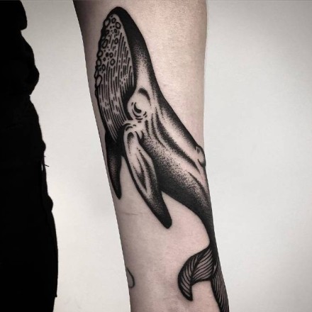 点击大图看下一张：手臂上好看的小鲸鱼纹身图片欣赏