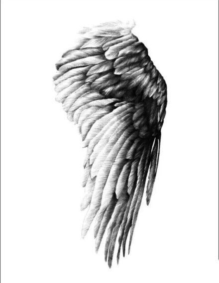 点击大图看下一张：18组帅气的黑色翅膀纹身图案作品