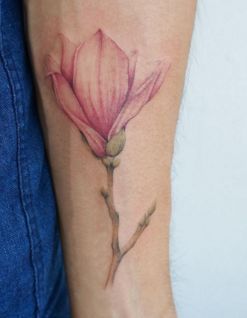 点击大图看下一张：别致优雅的9张玉兰花纹身图案