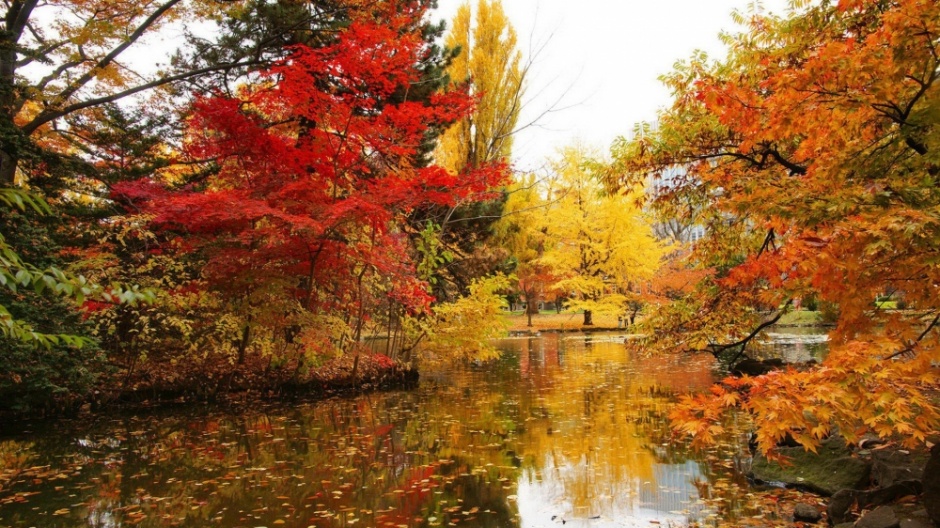 点击大图看下一张：枫林尽染的深秋美景高清桌面壁纸图片大全