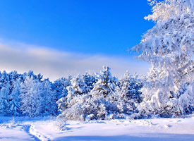 一组超级唯美的雪景图片欣赏