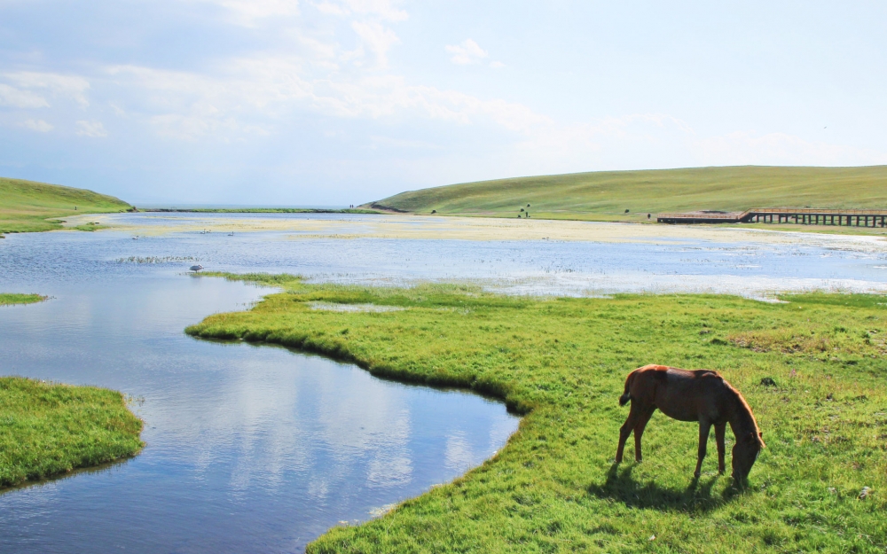 点击大图看下一张：新疆禾木草原风景高清图片欣赏