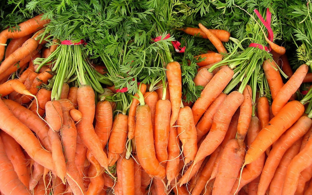 点击大图看下一张：一组营养丰富的红彤彤的胡萝卜图片欣赏