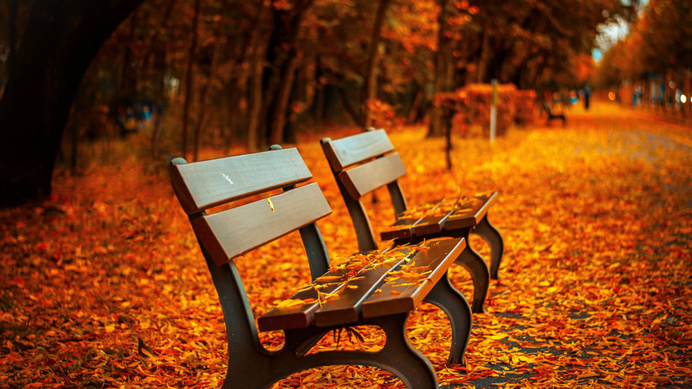 点击大图看下一张：一组秋天户外的长椅高清图片欣赏