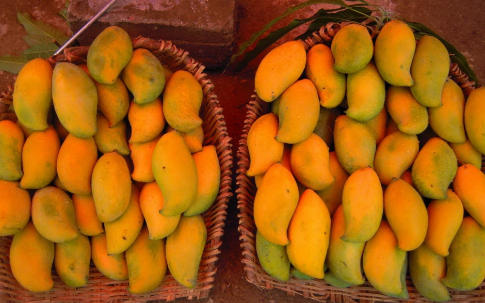 点击大图看下一张：一组热带果王芒果高清图片欣赏