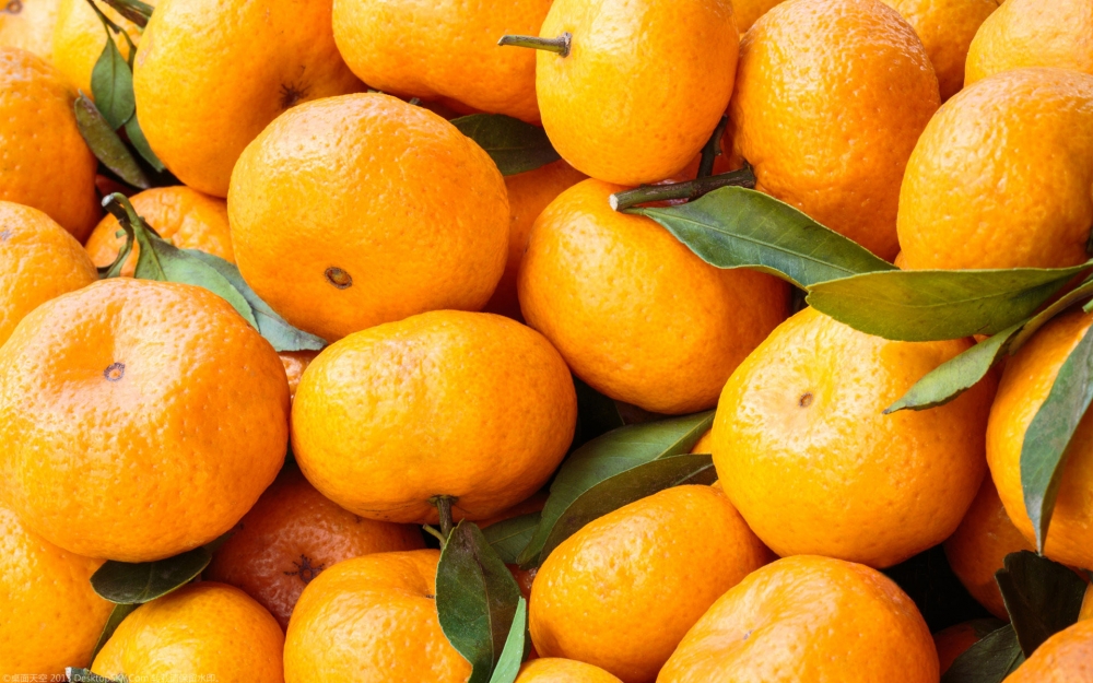 点击大图看下一张：橙子，果园形至长圆形，橙黄色，油胞凸起，果皮不易剥离
