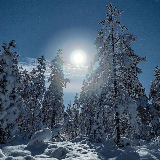 点击大图看下一张：一组超级唯美的夜景下满地的雪景图片欣赏