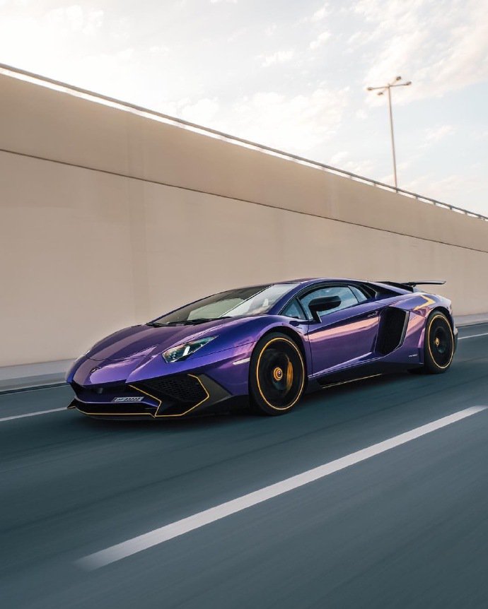 点击大图看下一张：紫色尤物 Lamborghini Aventador SV ​​​​图片