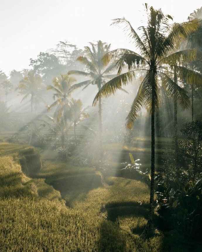 点击大图看下一张：一组巴厘岛漂亮唯美的阳光高清图片欣赏