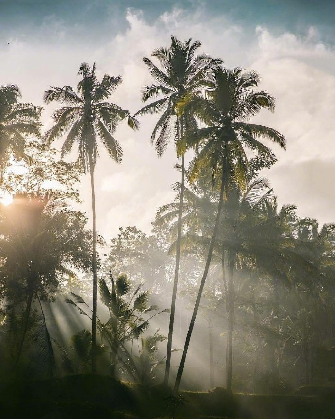 点击大图看下一张：一组巴厘岛漂亮唯美的阳光高清图片欣赏
