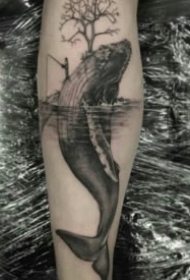 18张很漂亮的鲸鱼纹身作品图片