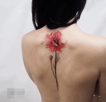 点击大图看下一张：女生后背脊部的小清新纹身作品