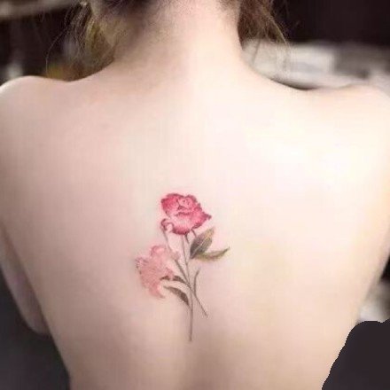 点击大图看下一张：小清新的一组玫瑰花朵纹身图片赏析
