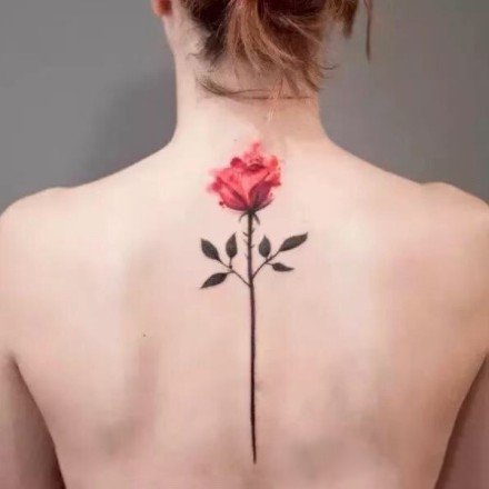 点击大图看下一张：小清新的一组玫瑰花朵纹身图片赏析