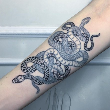 点击大图看下一张：9张蛇主题的艺术纹身图片
