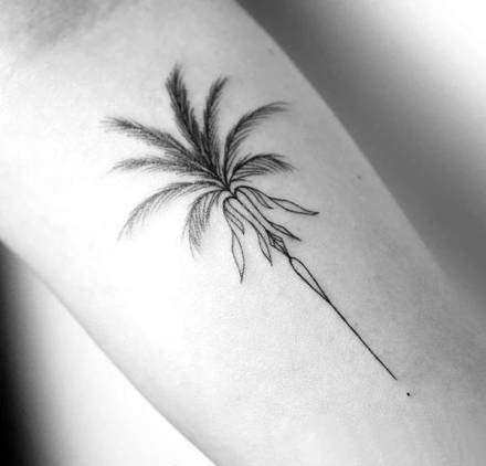 点击大图看下一张：小清新黑色的小椰子树纹身图片