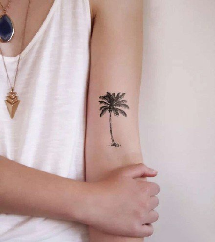 点击大图看下一张：小清新的9张黑色椰子树纹身图案