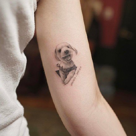 点击大图看下一张：很可爱的宠物小狗狗纹身图片9张