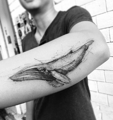 点击大图看下一张：9张好看的鲸鱼纹身作品图片